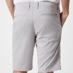 Siete Shorts // Gray (30)