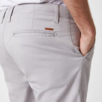 Siete Shorts // Gray (30)