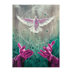 Freedom is Yours // SEL