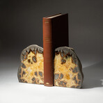 Genuine Septarian Bookends