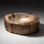 Genuine Natural Petrified Wood Bowl