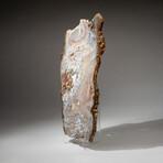 Genuine Polished Lace Agate Slice + Acrylic Display Stand