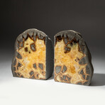 Genuine Septarian Bookends