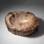 Genuine Natural Petrified Wood Bowl