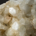 Genuine Apophyllite Crystal Cluster