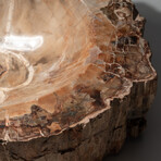 Genuine Natural Petrified Wood Bowl