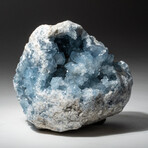 Genuine Natural Blue Celestite Geode // V2