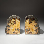 Genuine Septarian Bookends