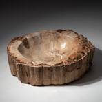 Genuine Natural Petrified Wood Bowl