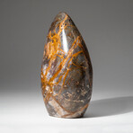 Genuine Polished Rutilated Jasper Freeform