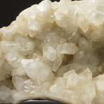 Genuine Apophyllite Crystal Cluster