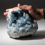 Genuine Natural Blue Celestite Geode // V2