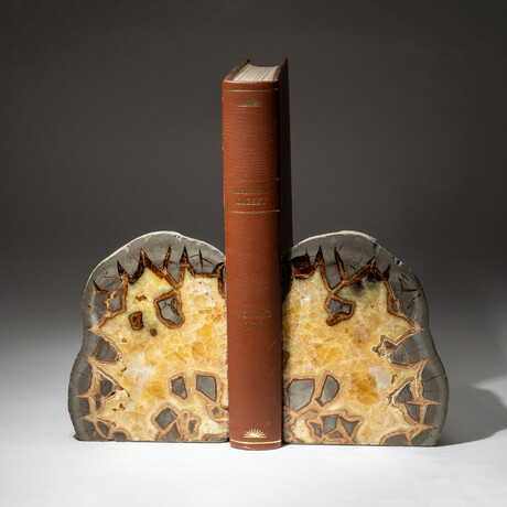 Genuine Septarian Bookends