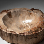 Genuine Natural Petrified Wood Bowl