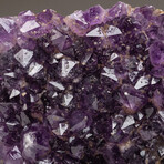 Genuine Amethyst Crystal Cluster // Large // V4