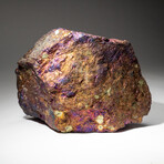 Genuine Chalcopyrite Peacock Ore // V1