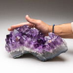 Genuine Amethyst Crystal Cluster