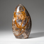 Genuine Polished Rutilated Jasper Freeform