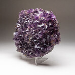 Genuine Amethyst Crystal Cluster // Large // V4