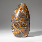 Genuine Polished Rutilated Jasper Freeform