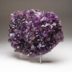 Genuine Amethyst Crystal Cluster // Large // V4