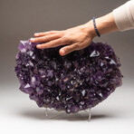 Genuine Amethyst Crystal Cluster // Large // V4