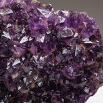 Genuine Amethyst Crystal Cluster // Large // V4