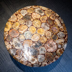 Genuine Polished Polychrome Jasper Round Table Top + Frame