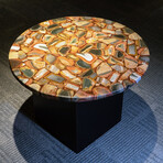 Genuine Polished Round Petrified Wood Table Top + Frame