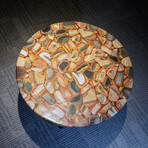 Genuine Polished Round Petrified Wood Table Top + Frame