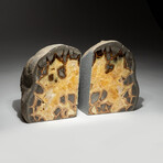 Genuine Septarian Bookends