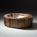 Genuine Natural Petrified Wood Bowl