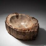 Genuine Natural Petrified Wood Bowl