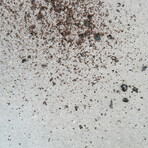 RIVSALTô Pure Liquorice Gift Set // 1oz