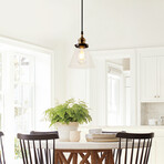 Black Pendant Light + Glass Shade