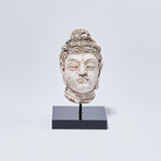 Indus Valley Head of Buddha // 4th - 5th Century AD