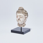 Indus Valley Head of Buddha // 4th - 5th Century AD