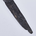 Tudor Table Knife // Late Medieval England, 16th century