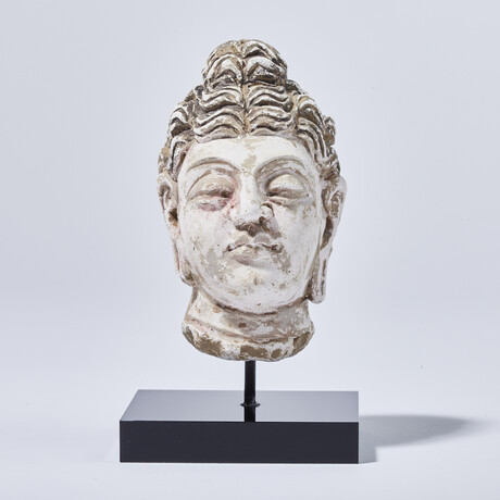 Indus Valley Head of Buddha // 4th - 5th Century AD