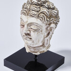 Indus Valley Head of Buddha // 4th - 5th Century AD