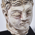 Indus Valley Head of Buddha // 4th - 5th Century AD