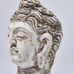 Indus Valley Head of Buddha // 4th - 5th Century AD