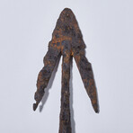 Fantastic Medieval Longbow Arrow-head // 8th-10th century AD.