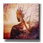 Maps // Mario Sanchez Nevado (16"W x 16"H x 0.75"D)