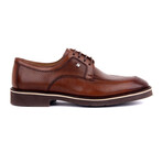 Lloyd Classic Shoes // Tobacco (Euro: 40)