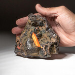 Genuine Crocoite on Hematite Matrix