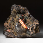 Genuine Crocoite on Hematite Matrix