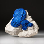 Genuine Azurite in Clay Matrix