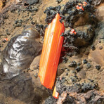 Genuine Crocoite on Hematite Matrix