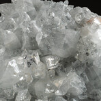 Genuine Apophyllite Crystal Cluster